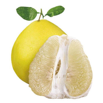 New arrival fresh Honey Pomelo supply with high quality Chinese white and red pomelo fruit grapefruit at best pomelo price